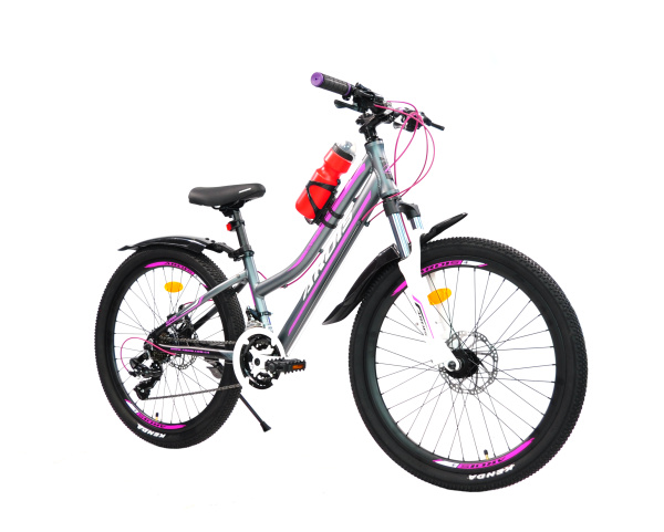 Велосипед Ardis 24 MTB AL "ALPINA"