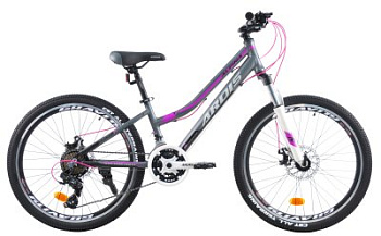 Велосипед Ardis 24 MTB AL "ALPINA"